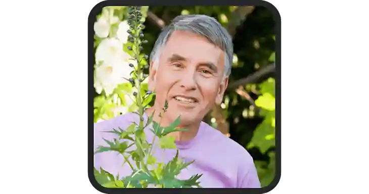 longevity salt reviews 1